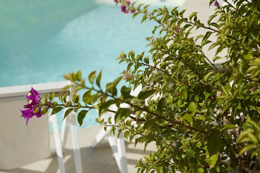 Blooming bougainvilleas surround our Corfu town hotel with pool